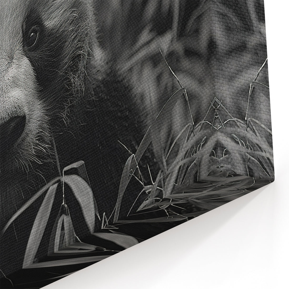 Serene Black and White Panda Canvas Print - Panda Photography