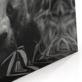 Serene Black and White Panda Canvas Print - Panda Photography