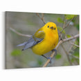 Vibrant Garden Birds Wall Art - Yellow Songbird Canvas Print Decor