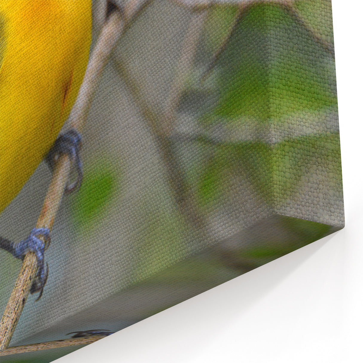 Vibrant Garden Birds Wall Art - Yellow Songbird Canvas Print Decor