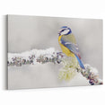 Winter Garden Birds Wall Art - Blue and Yellow Bird in Snowy Scene
