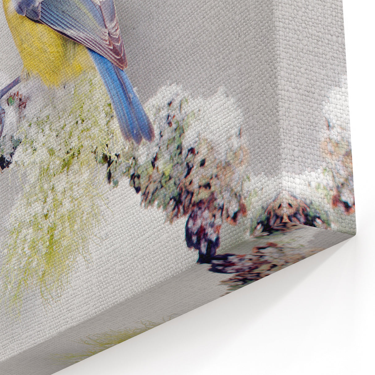 Winter Garden Birds Wall Art - Blue and Yellow Bird in Snowy Scene