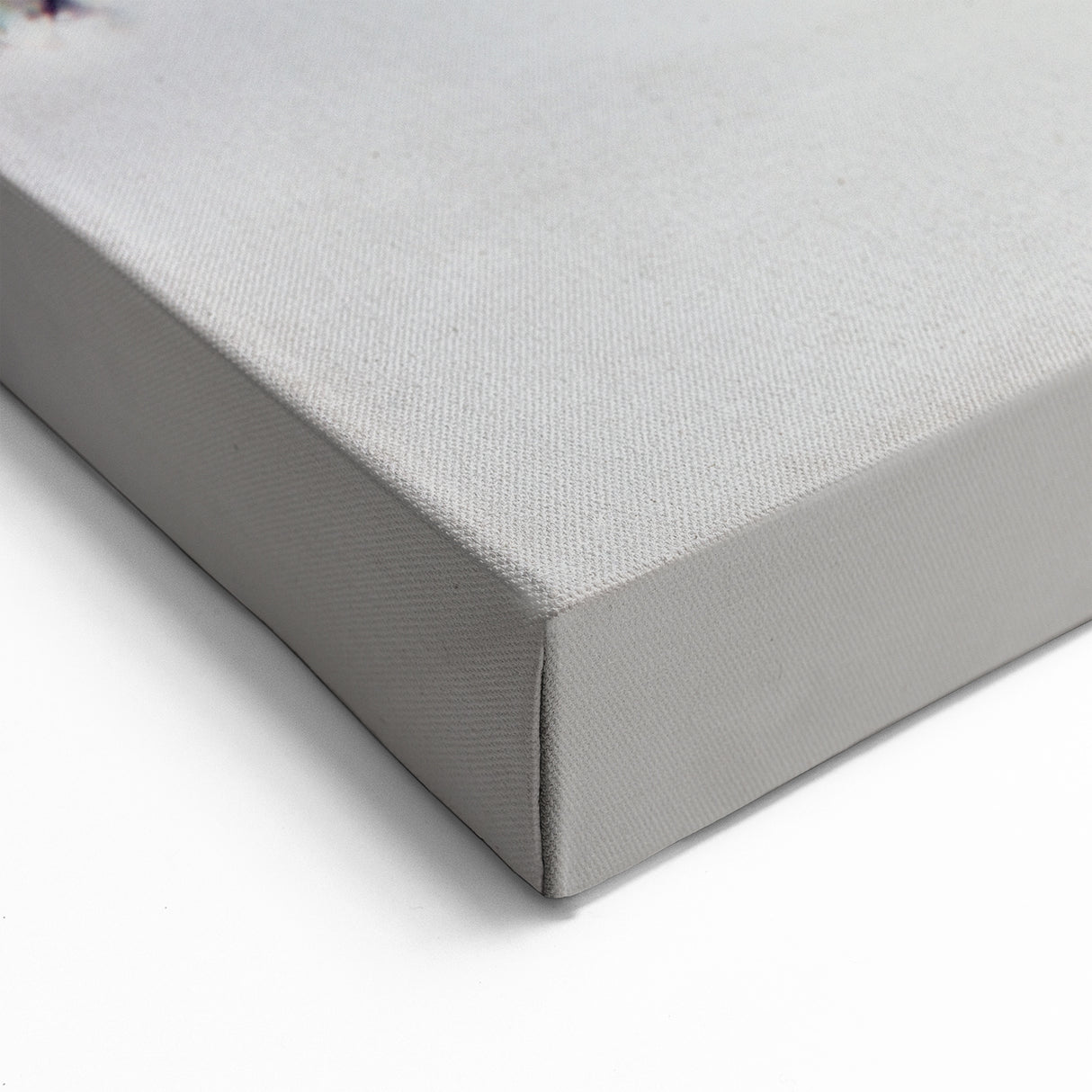 Winter Garden Birds Wall Art - Blue and Yellow Bird in Snowy Scene