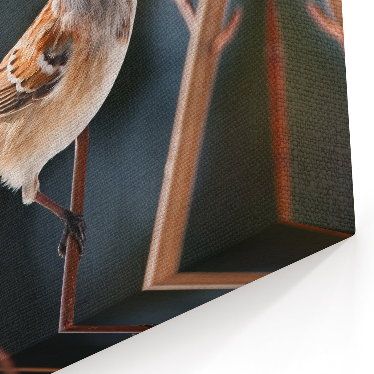 Natural Garden Birds Wall Art - Sparrow on Winter Branch Canvas Decor