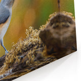 Vibrant Garden Birds Wall Art - Crested Songbird Canvas Print Decor