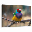 Vibrant Garden Birds Wall Art - Colorful Finch Canvas Print Decor