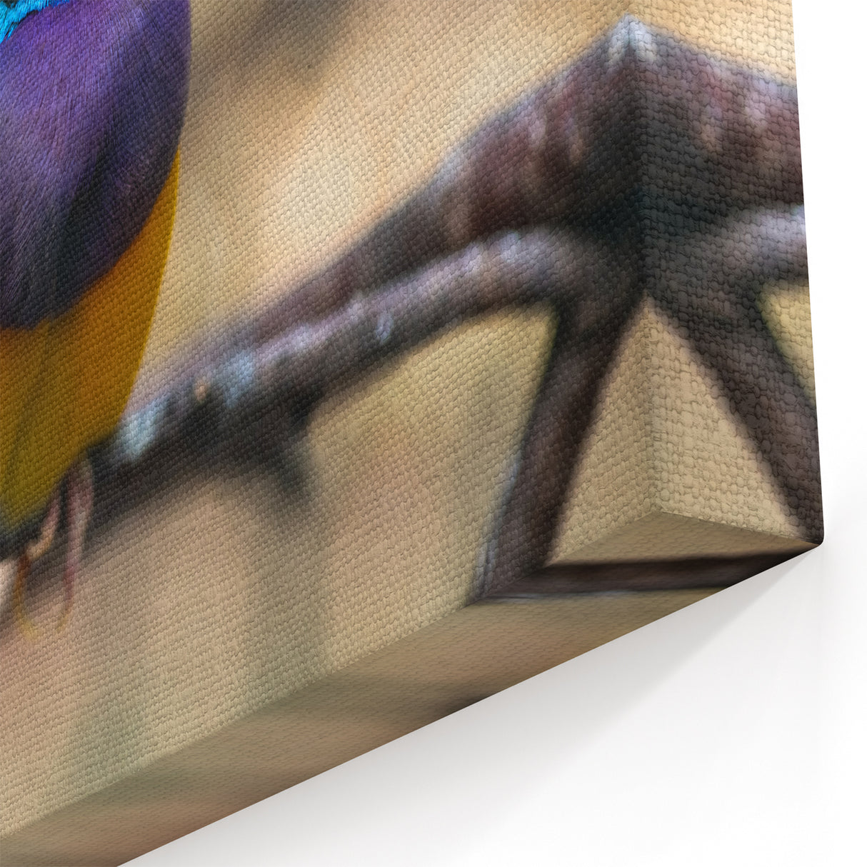 Vibrant Garden Birds Wall Art - Colorful Finch Canvas Print Decor