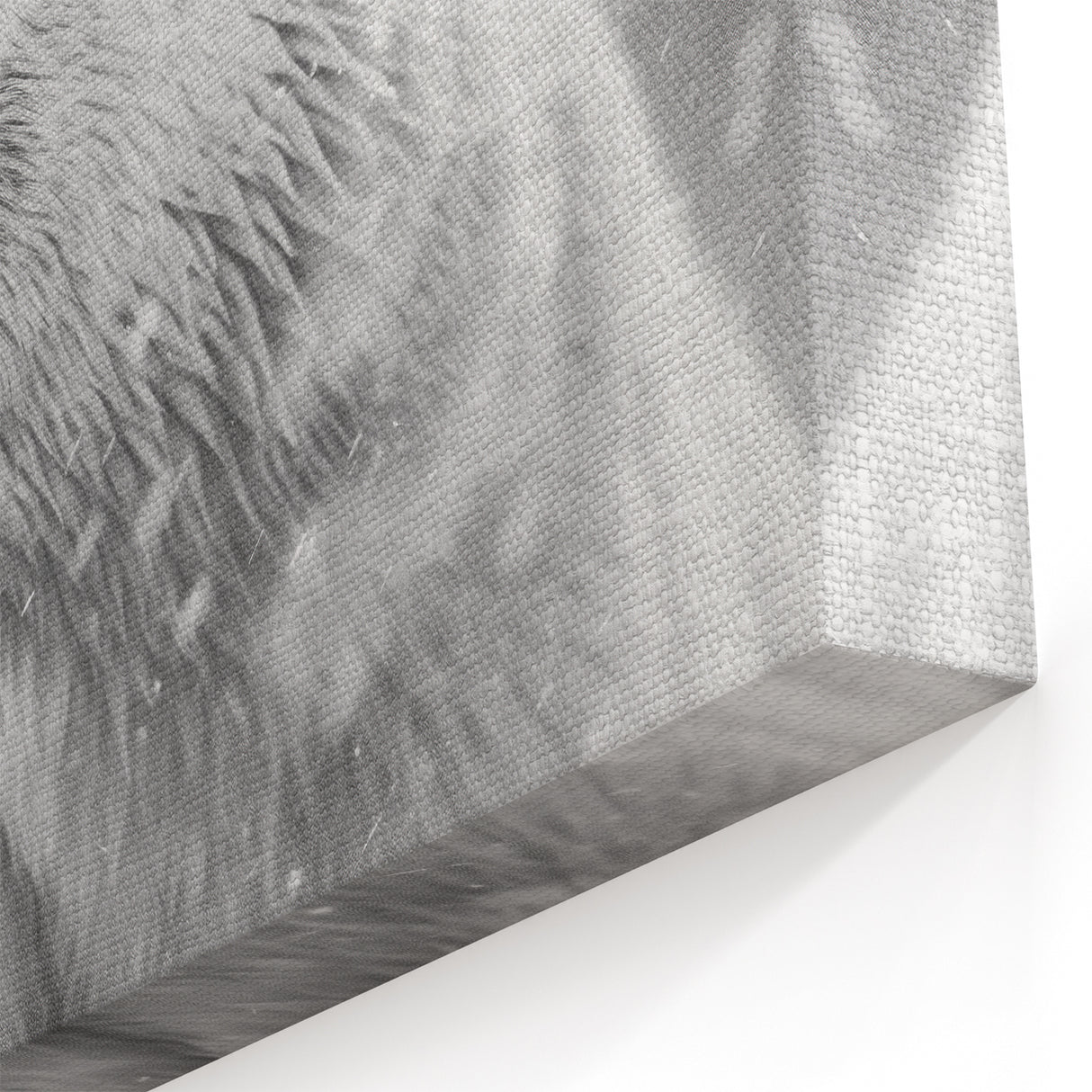 Close-Up Polar Bear Portrait - Wildlife Arctic Canvas Art