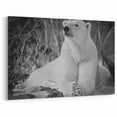 Serene Polar Bear Resting - Wildlife Arctic Canvas Art