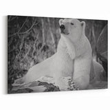 Contemplative Polar Bear - Wildlife Arctic Animal Canvas Art