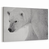 Focused Polar Bear Gaze - Wildlife Arctic Animal Canvas Art