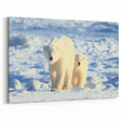 Polar Bear and Cub - Arctic Wildlife Canvas Art