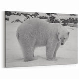 Snowy Polar Bear Stance - Wildlife Arctic Animal Canvas Art