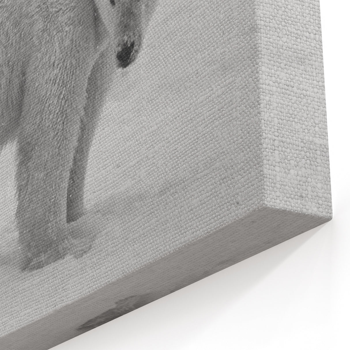 Snowy Polar Bear Stance - Wildlife Arctic Animal Canvas Art