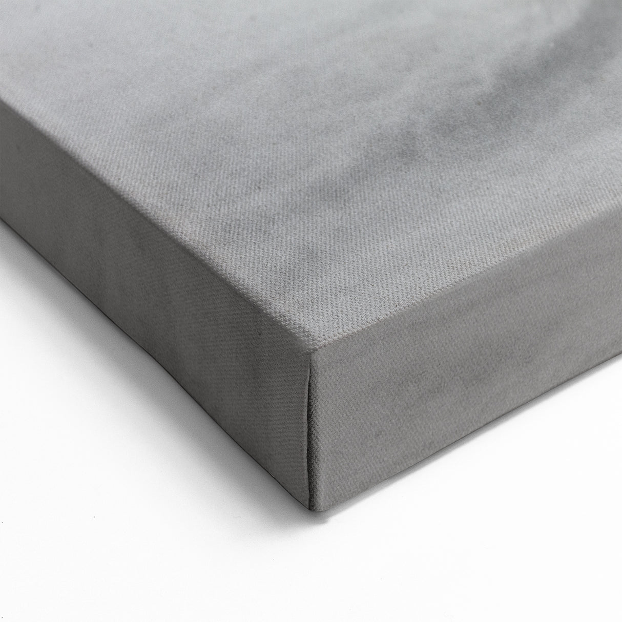 Snowy Polar Bear Stance - Wildlife Arctic Animal Canvas Art