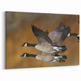 Majestic Goose Wall Art - Stunning Goose Print for Nature Lovers
