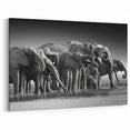 Elephant Herd at Watering Hole - Timeless Black and White Canvas Art