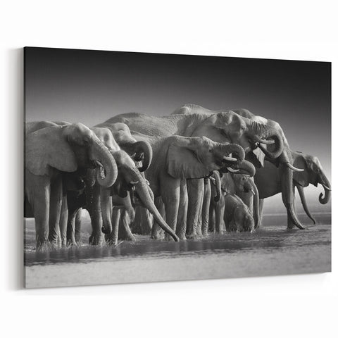Elephant Herd at Watering Hole - Timeless Black and White Canvas Art