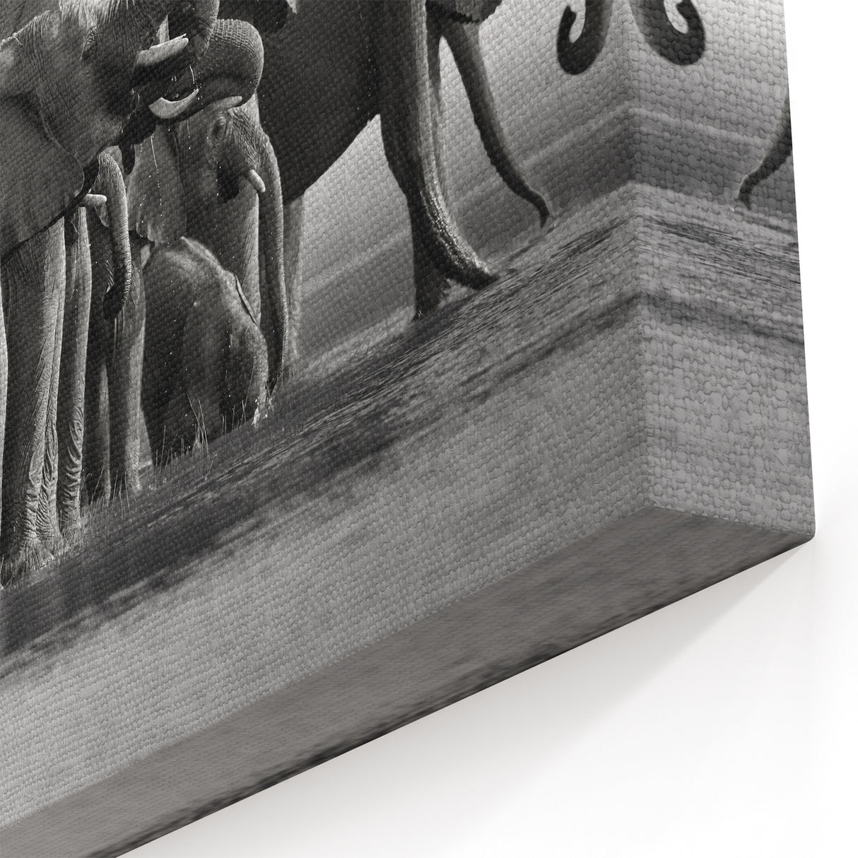 Elephant Herd at Watering Hole - Timeless Black and White Canvas Art