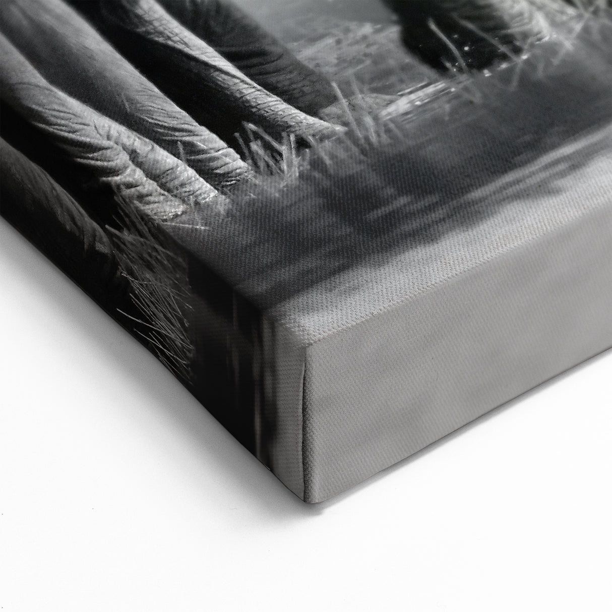 Elephant Herd at Watering Hole - Timeless Black and White Canvas Art