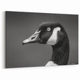 Majestic Goose Close-Up Canvas Art - Unique Goose Wall Decor