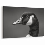 Majestic Goose Close-Up Canvas Art - Unique Goose Wall Decor