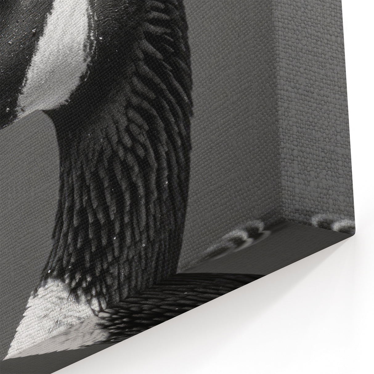 Majestic Goose Close-Up Canvas Art - Unique Goose Wall Decor