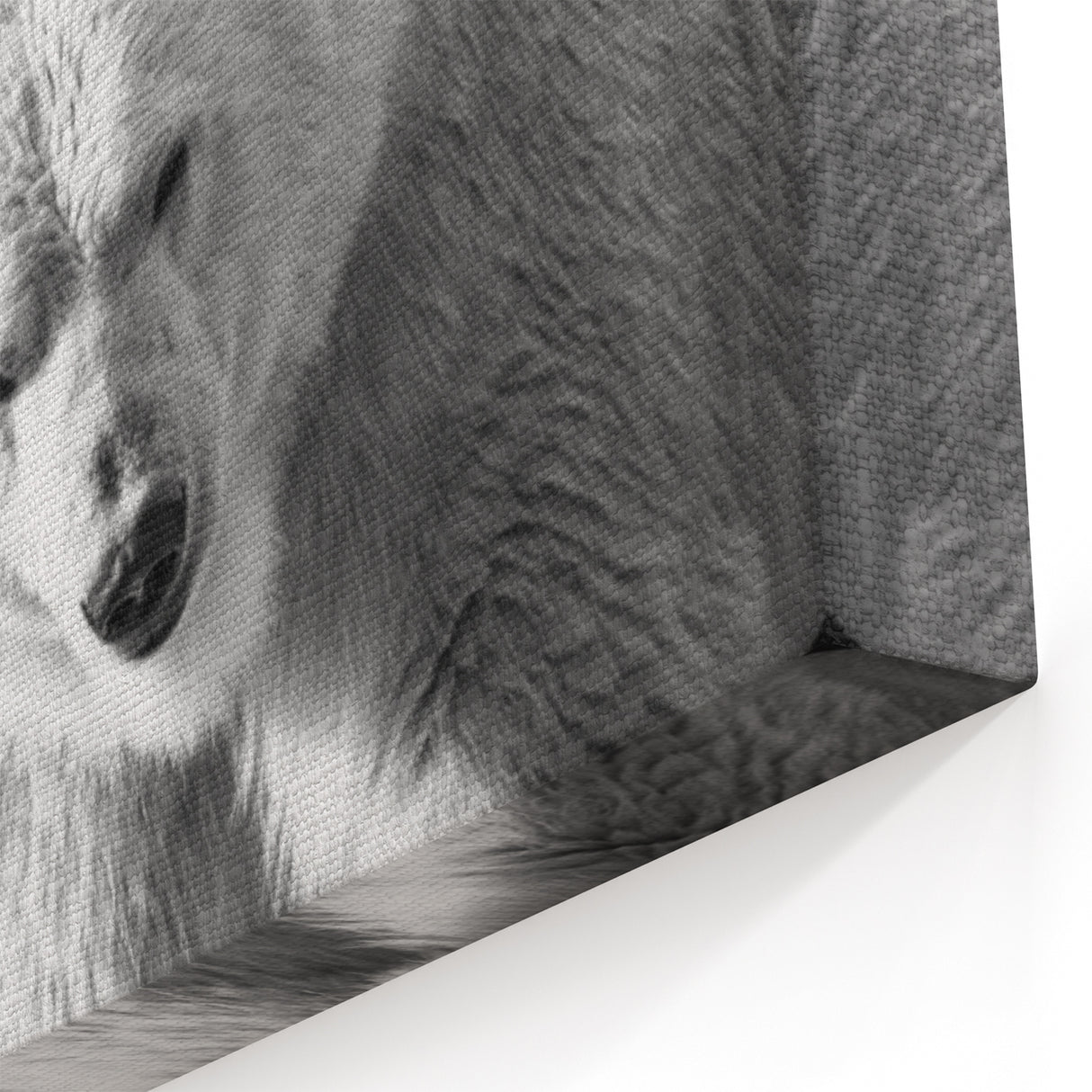 Polar Bear in Black - Wildlife Arctic Animal Canvas Art