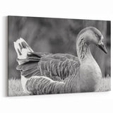 Serene Goose Resting Canvas Art - Peaceful Goose Wall Decor