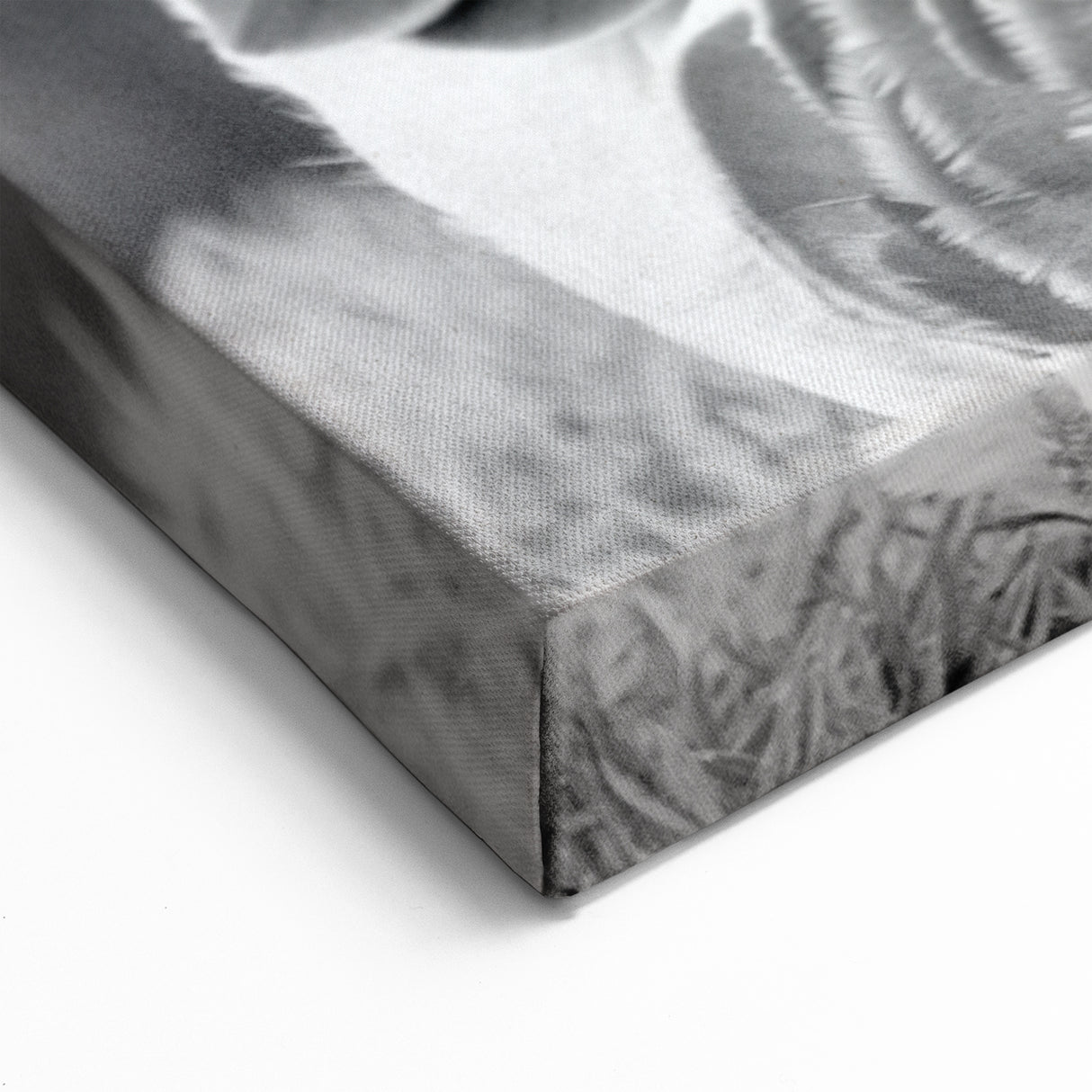 Serene Goose Resting Canvas Art - Peaceful Goose Wall Decor