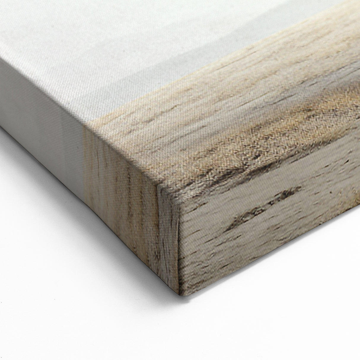 Realistic Mammoth Art - Majestic Prehistoric Canvas Print