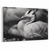 Graceful Goose Profile Canvas Art - Elegant Goose Wall Decor