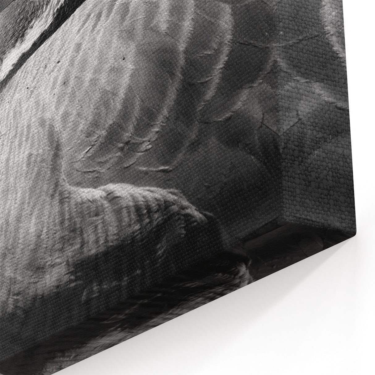 Graceful Goose Profile Canvas Art - Elegant Goose Wall Decor