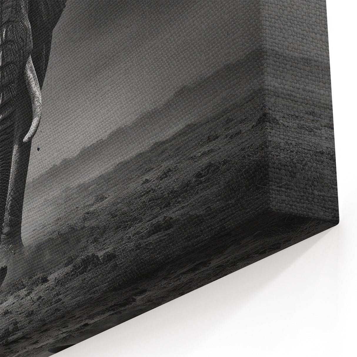 Powerful Elephant in the Storm - Dramatic Black and White Canvas Art