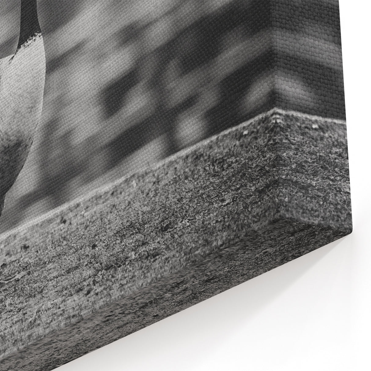 Majestic Goose Strolling Canvas Art - Captivating Goose Wall Decor