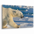 Polar Bear on Ice - Wildlife Arctic Animal Canvas Art
