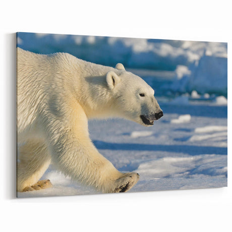 Polar Bear on Ice - Wildlife Arctic Animal Canvas Art