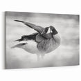 Graceful Goose Preening Canvas Art - Elegant Goose Wall Decor