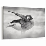 Graceful Goose Preening Canvas Art - Elegant Goose Wall Decor