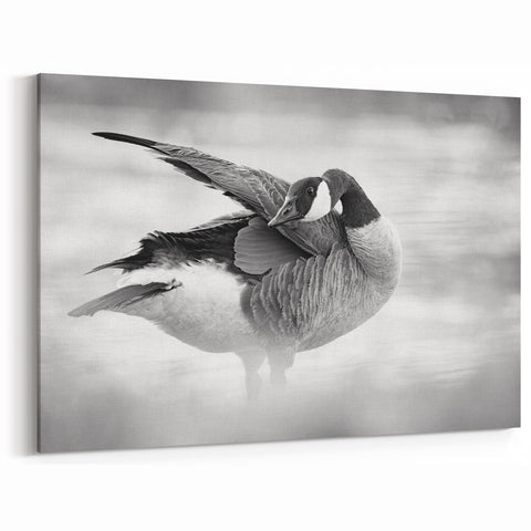 Graceful Goose Preening Canvas Art - Elegant Goose Wall Decor