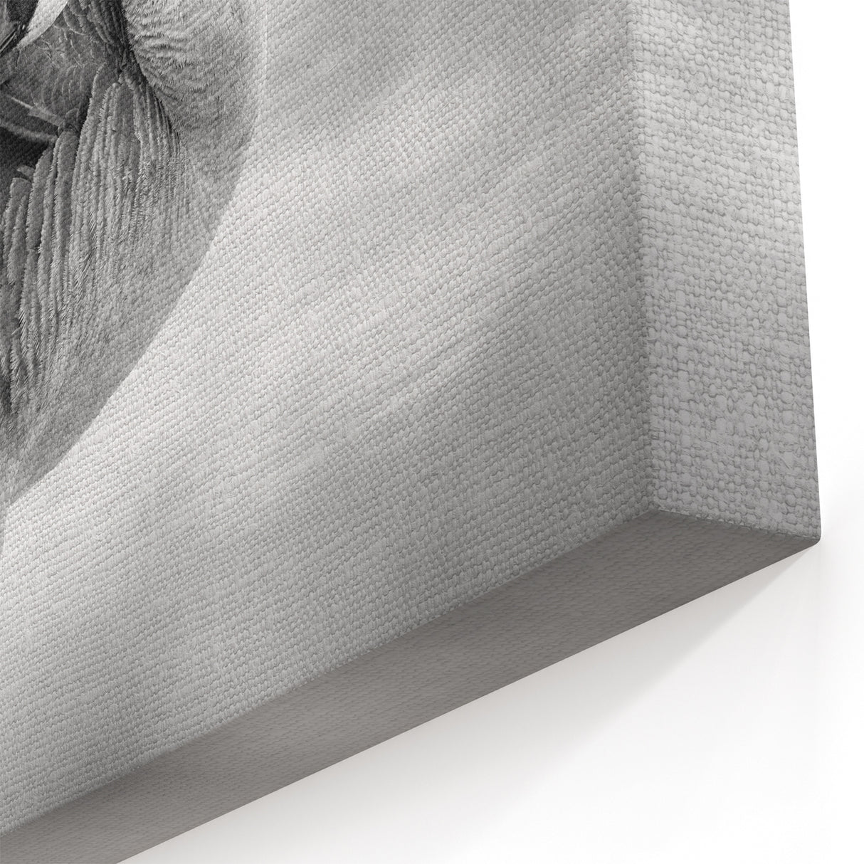 Graceful Goose Preening Canvas Art - Elegant Goose Wall Decor