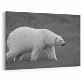 Polar Bear on Grass - Wildlife Arctic Animal Canvas Art