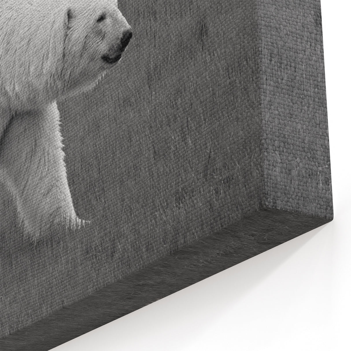 Polar Bear on Grass - Wildlife Arctic Animal Canvas Art