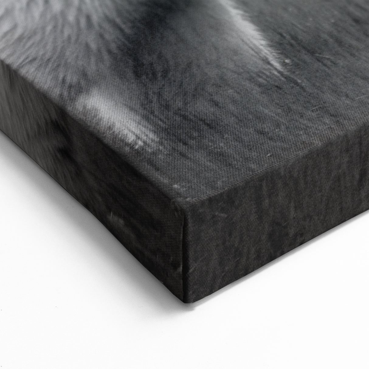 Polar Bear on Grass - Wildlife Arctic Animal Canvas Art