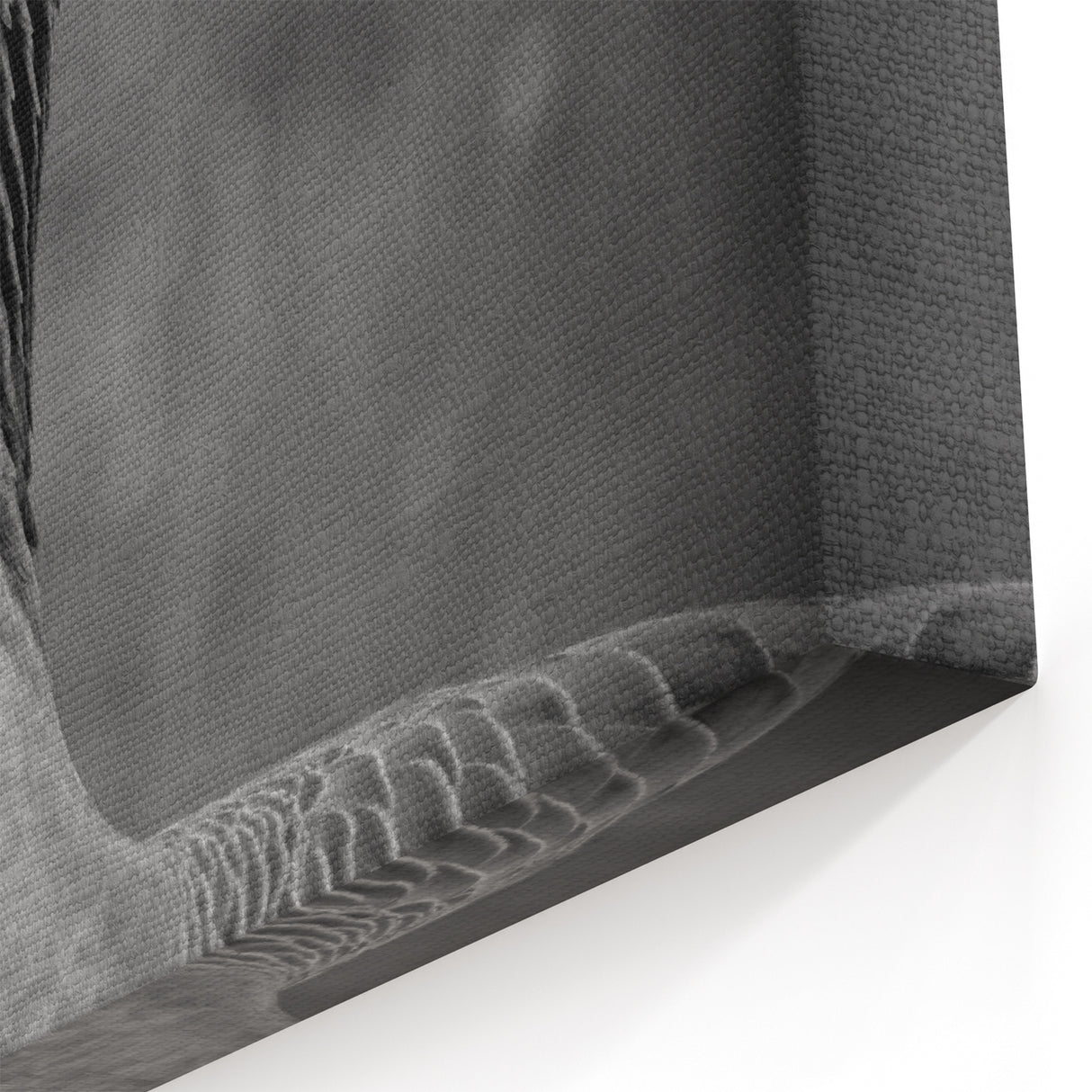 Majestic Goose Portrait Canvas Art - Elegant Goose Wall Decor