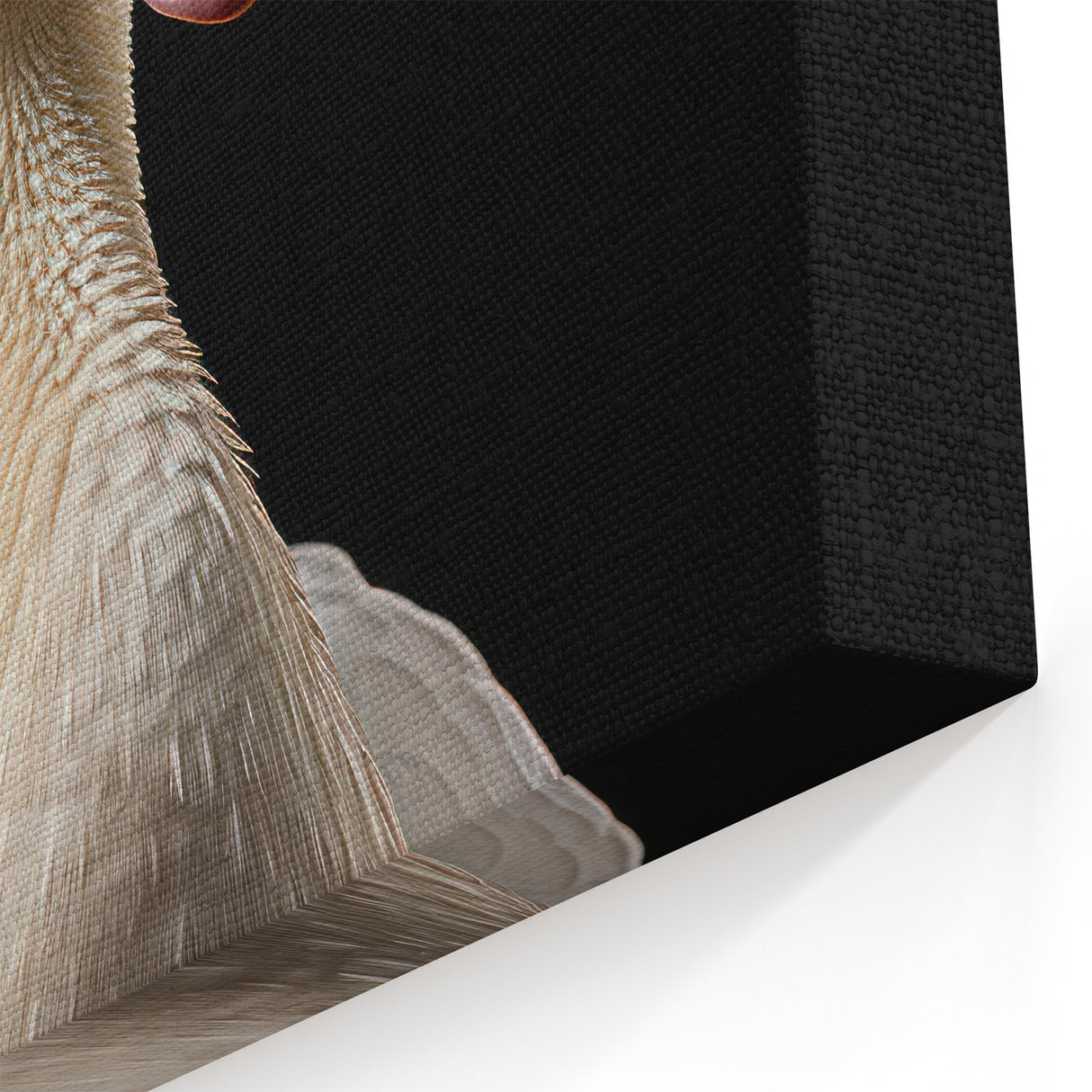 Striking White Goose Portrait Canvas Art - Elegant Goose Wall Decor