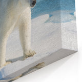 Majestic Polar Bear Art - Wildlife & Arctic Animal Prints - Nature Wall Art