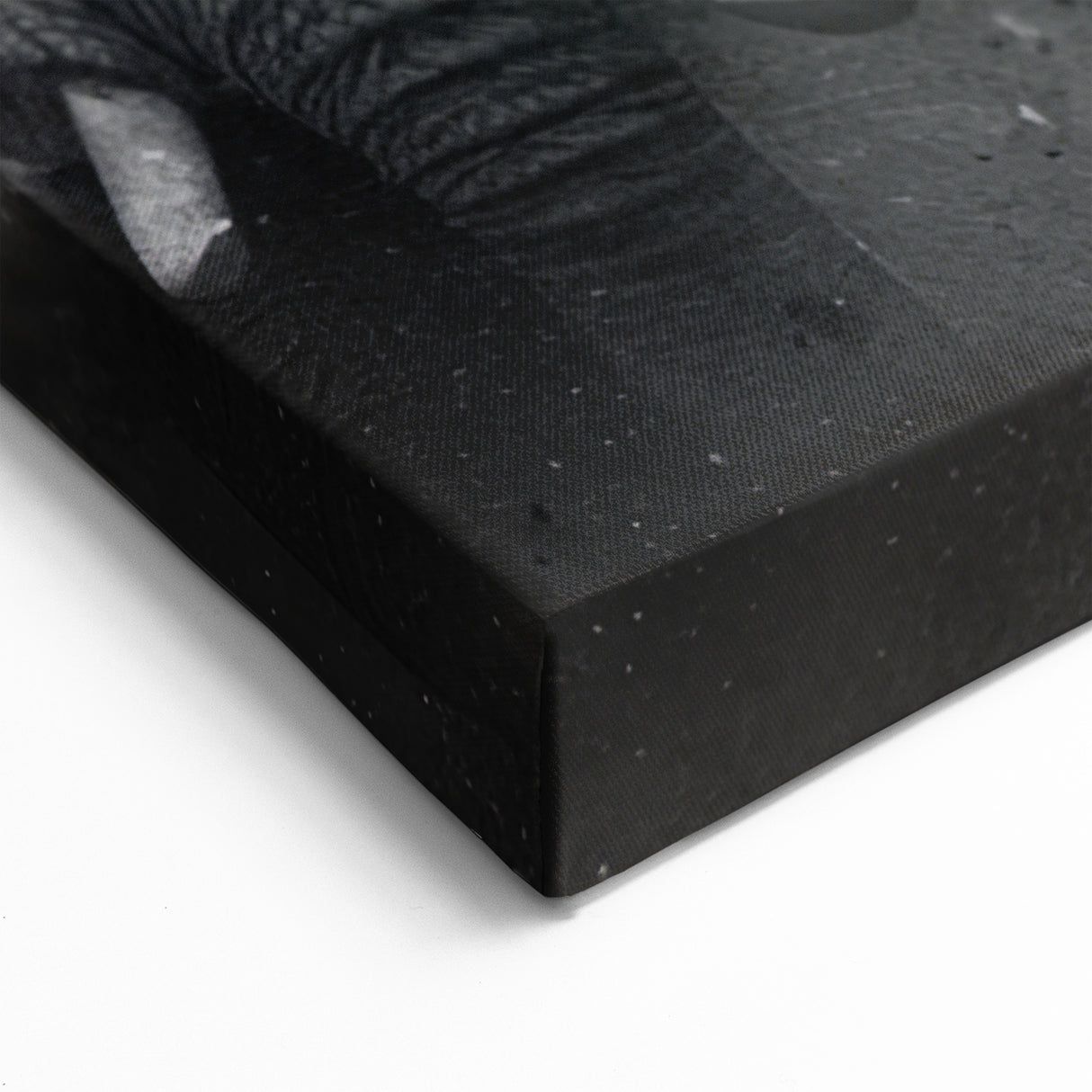 Elephant Stampede - Powerful Black and White Canvas Art