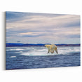 Serene Polar Bear Art - Wildlife Arctic Animal Prints for Wall Decor