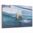 Arctic Polar Bear Art - Wildlife Animal Prints for Nature Wall Decor